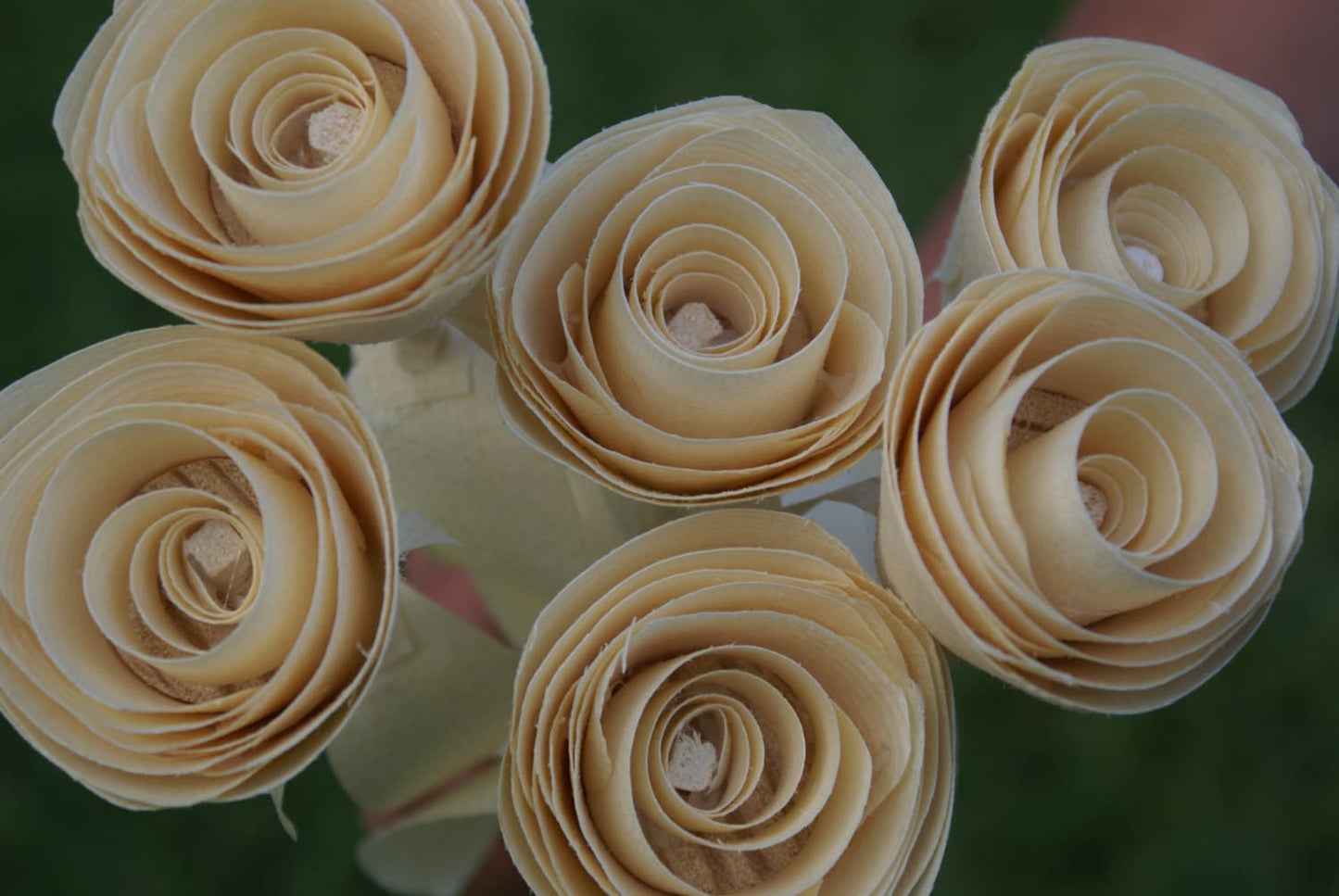 6 Handmade wooden roses
