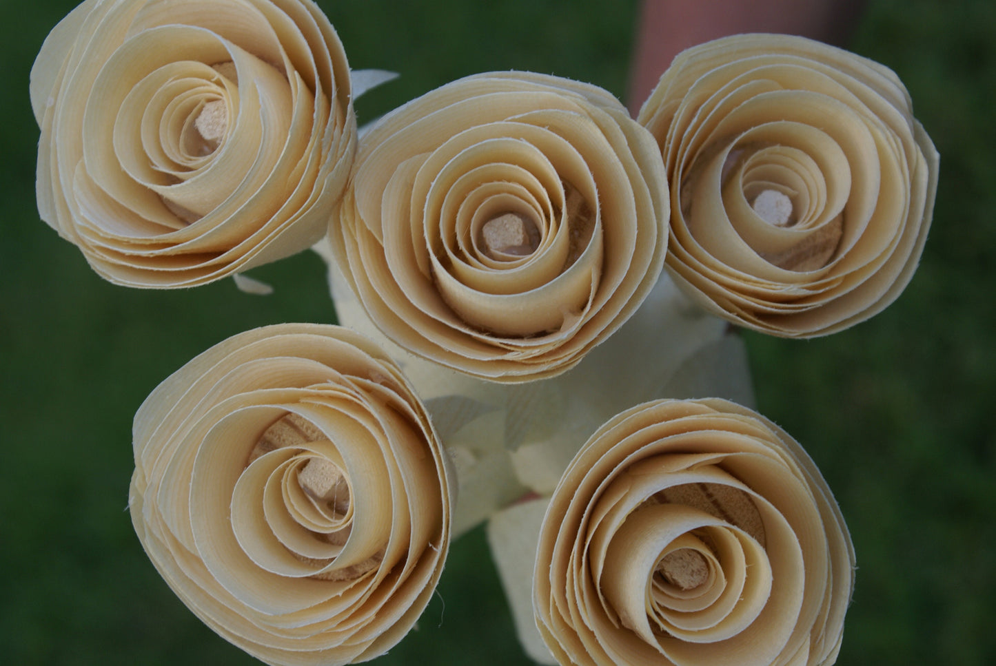 5 Handmade wooden roses